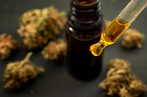 In these dispensaries, you can buy the best CBD oil in UK