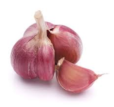 The Benefits of Organic Garlic Seed