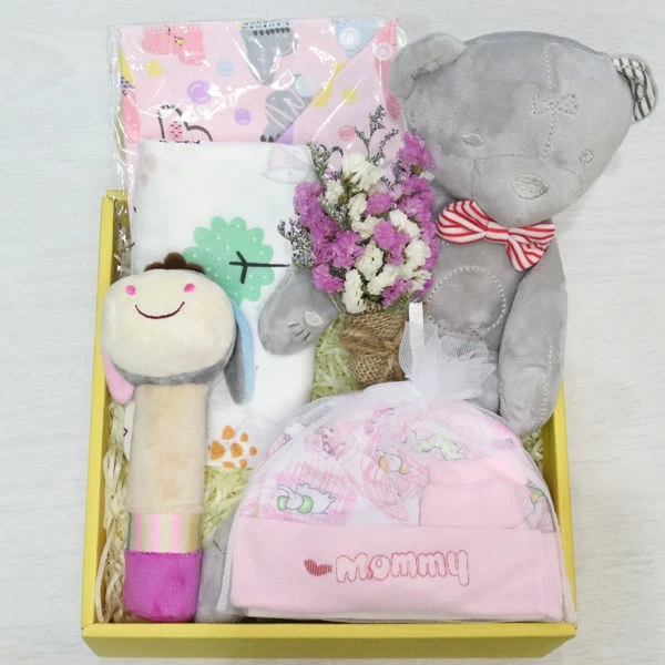 Top 4 Baby Gift Ideas When Visiting a Newborn