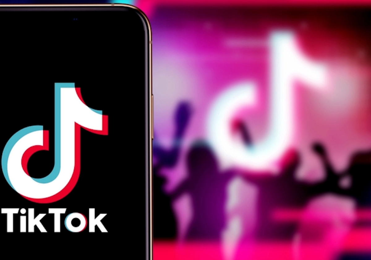 Why You Need More Fans On TikTok!