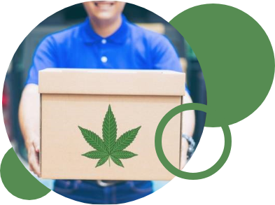 Marijuana delivery Ottawais the best alternative