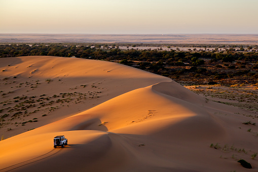 How to enjoy the views and surroundings of safari trips in Dubai