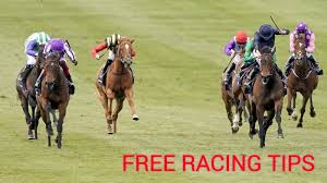 What are some pros of online betting: best free horse racing tipster?
