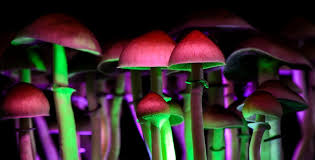 You are able to buy shroom Detroit safely and easily