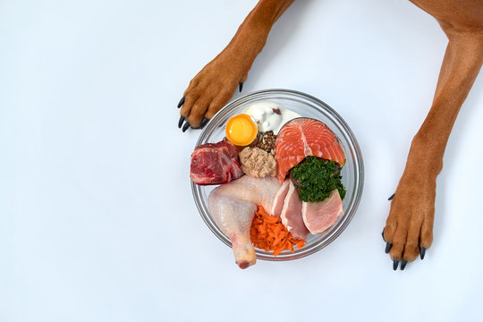 Which are the points to learn about unprocessed pet food?