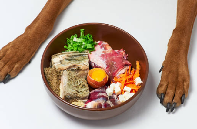 The Best Raw Dog Food for Dogs with Food Allergies or Sensitivities