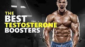 The Most Effective Testosterone Boosters for Muscle Building