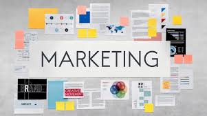 Empower Your Digital Brand: Premier Companies in California